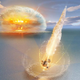 Image for article titled A Double Meteor Impact Hit Sweden 468 Million Years Ago